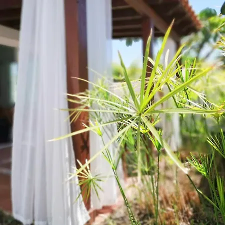 Nyaraló Porches D40 By Pride Playa del Inglés